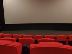-金逸影城(武汉人信汇IMAX店)