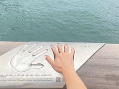 -星光大道