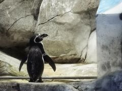 -合肥海洋世界