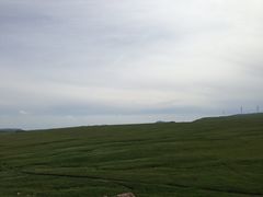 -空中草原