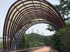 -玉树公园