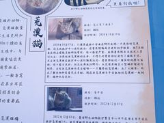 -青藏高原野生动物园