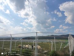 -敕勒川草原文化旅游区