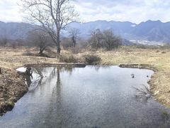 -石棉县孟获城