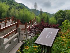 -龙坞茶村