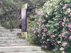 -丰台花园