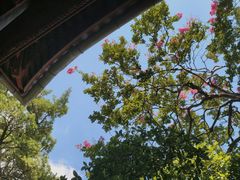 -东山雕花楼