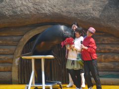 -秦皇岛乐岛海洋王国