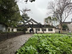 -绍兴鲁迅故里·沈园景区