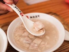 -海丝金凤(金鱼店)