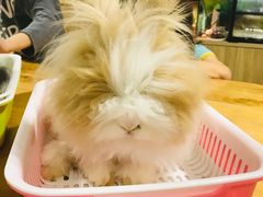 -藦茜花园宠物主题亲子互动体验馆(国顺东路店)
