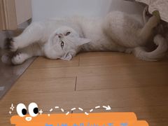 -美迦爱-牙专科·兔科·骨科诊疗中心(北苑店)