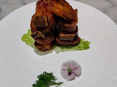 -蝶园·装修中(BFC外滩金融中心店)