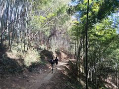 -西湖风景区十里琅珰-五云山