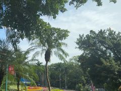 -盆满钵满·国家非遗传承(云台店)