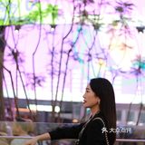 所有的酒都不如你 ZUI夜音乐节燃爆照母山