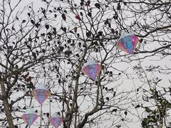 -珠海海泉湾神秘岛亲子乐园