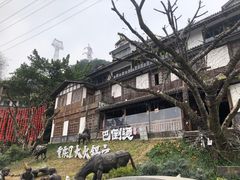 -巴倒烫陆派重庆火锅(南山店)