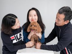 -iF摄影•全家福•证件照•形象照(南山店)