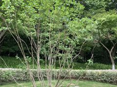 -雨花台烈士纪念馆