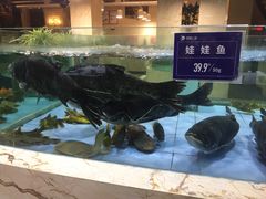 -旺顺阁海鲜广场(亚运村店)