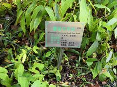 -广州神农草堂中医药博物馆
