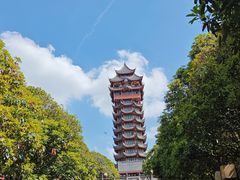 -塔子山公园