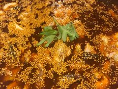 黑鱼-川渔居—鱼火锅(八方汇店)