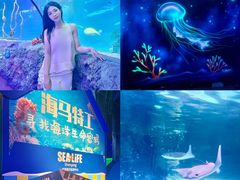 -沈阳海洋探索中心