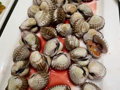 -华盛丰温州大排档(东三环南路店)