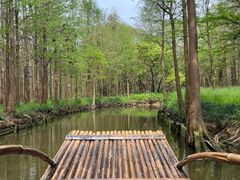 -尚湖风景区