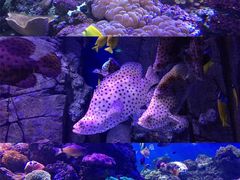 -成都浩海立方海洋公园