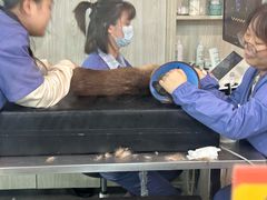 -半岛宠物医院24小时(科华中路店)