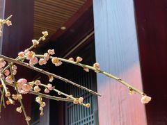 -香积寺
