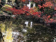 -秋霞圃