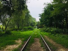 -永定河休闲森林公园