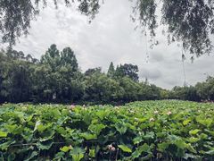 -月牙潭公园