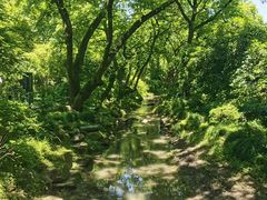 -西湖风景区十里琅珰-五云山