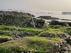 -银沙滩浴场