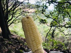 -火炉山森林公园