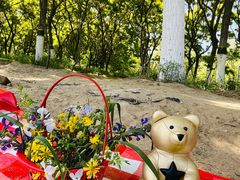 -大兴滨河森林公园