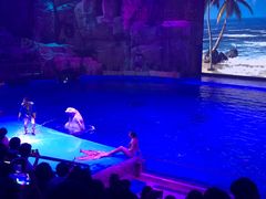 -芜湖新华联大白鲸海洋公园