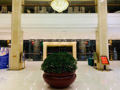 -广西锦华大酒店(南宁朝阳广场地铁站区政府店)