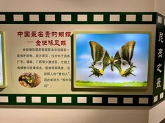 -上海昆虫博物馆