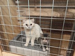 -BABANA烧烤·龙虾·海鲜