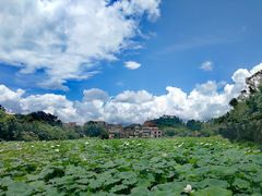 -台山颐和温泉城