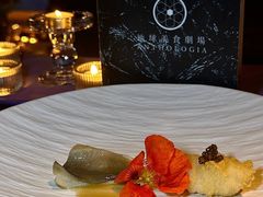 -地球美食剧场