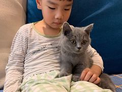 -猫大福·Fortune Cat猫舍(百子湾店)