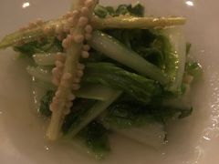 拌罗马生菜-西郊5号·Maggie 5