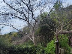 -良渚文化村